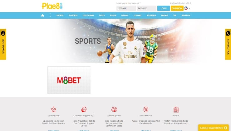 The sportsbook offered by the Plae8 platform