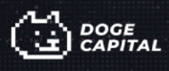 Doge capital