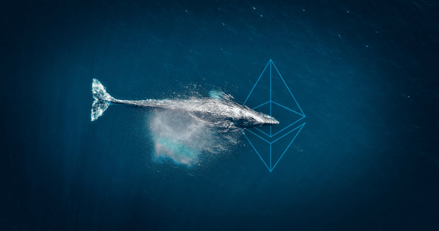 Top ETH Whales Buying SHIB - Are They Taking Bite of Tamadoge Too
