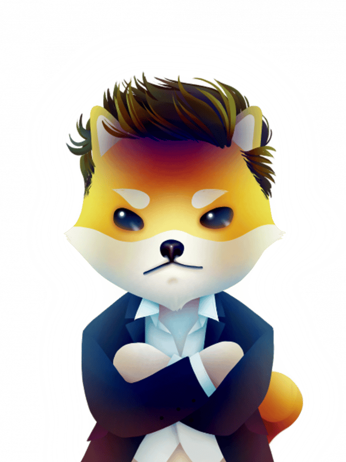 How to Buy Dogelon Mars Beginner's Guide