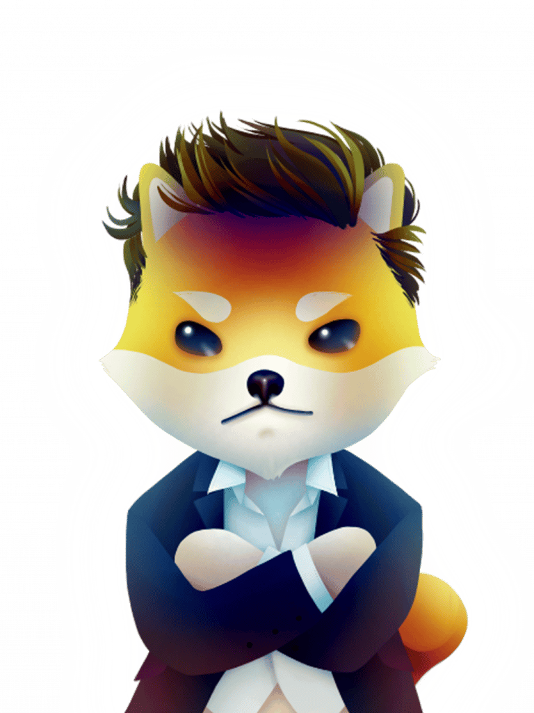 How to Buy Dogelon Mars Beginner's Guide