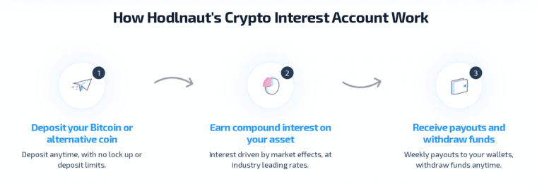 hodlnaut crypto savings platform 2
