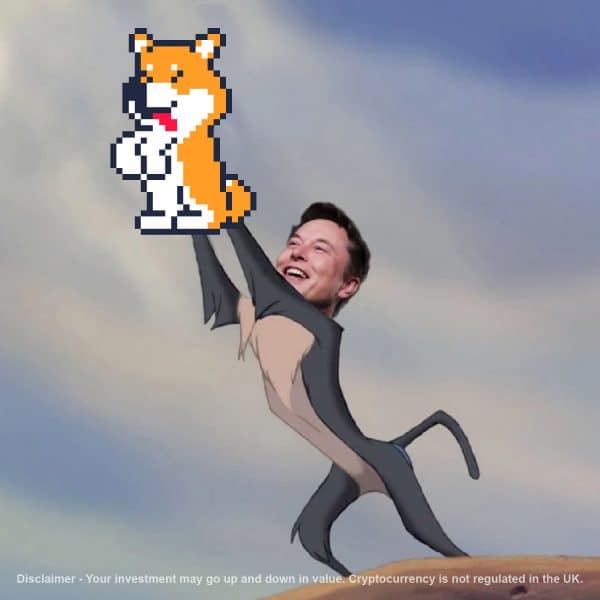 tamadoge meme lion king