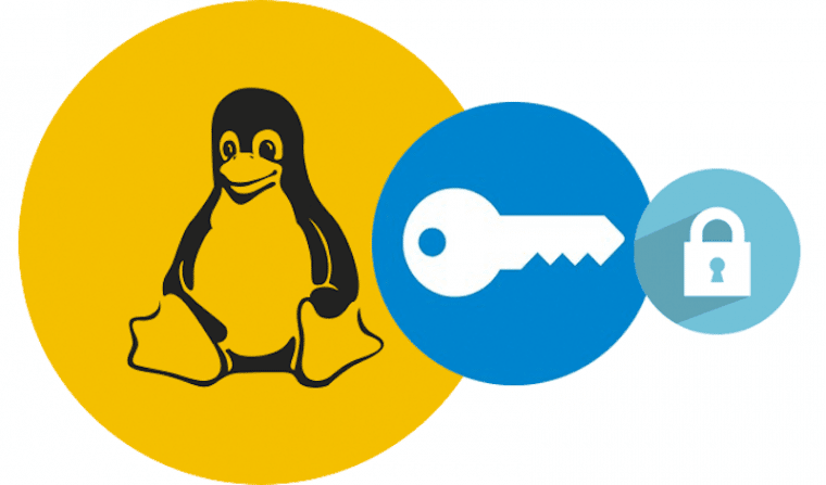 Best Linux VPN