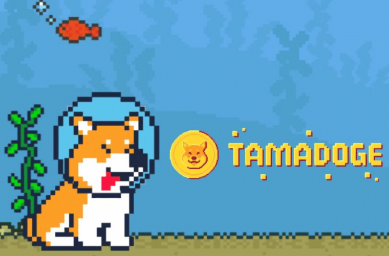 New Coin - Tamadoge (TAMA)