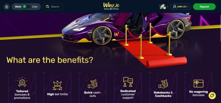 VIP program during our Winz.io review