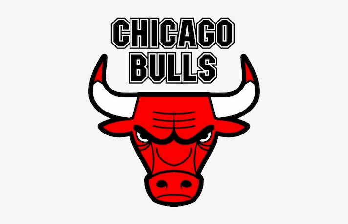 chicago bulls logo nerd