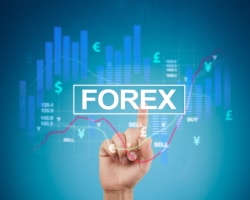 Best Forex Brokers for [cur_year] - Compare Forex Trading Platforms
