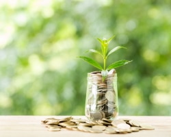 Best Green Investment Funds to Watch in [cur_year]