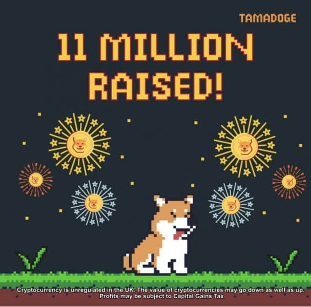 tamadoge 11 million rasied