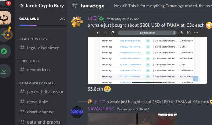 Tamadoge crypto whale Etherscan