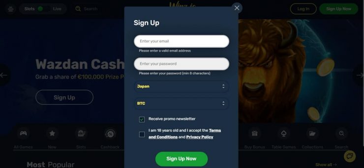 Sign up screen during Winz.io review