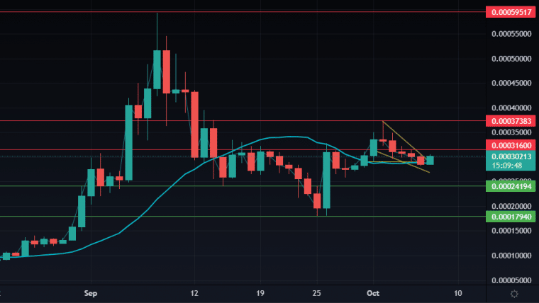 Terra Luna Classic Daily Chart