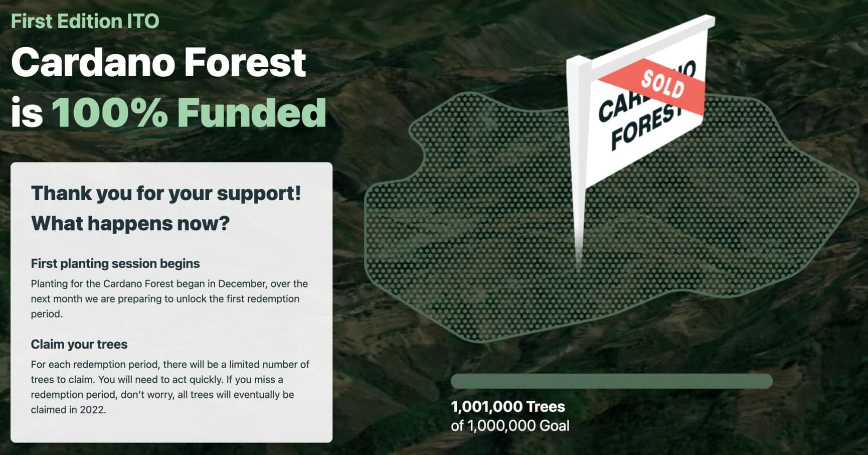 Cardano tree planting 