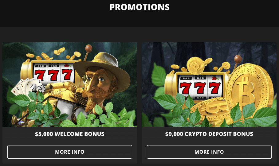Wild Casino promotions