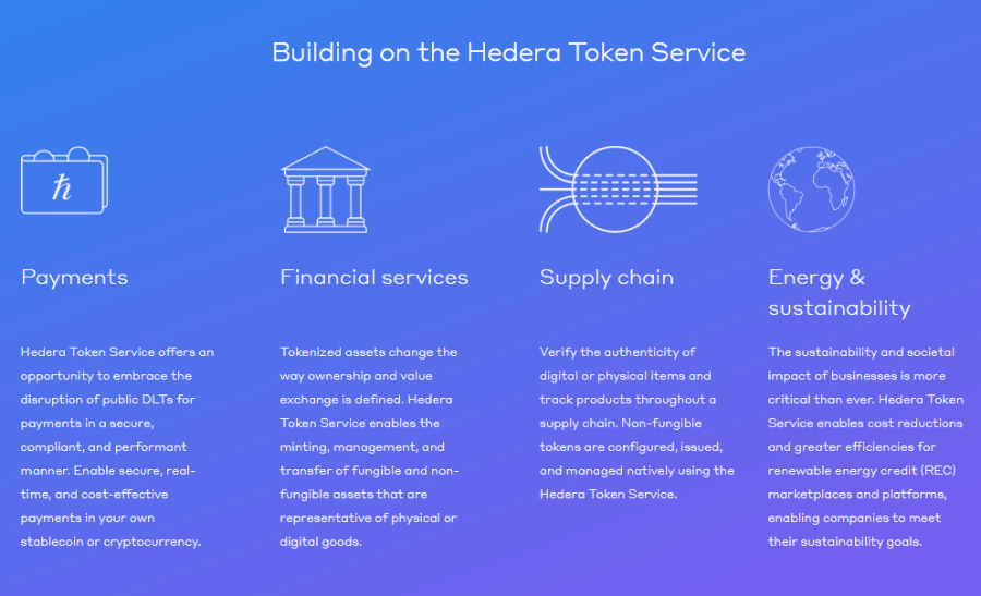 building on Hedera Network