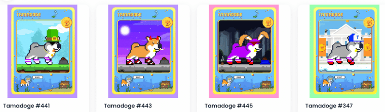 Best Ways to Invest $100,000 - tamadoge rare pets