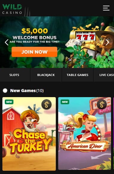 How to Sign Up to Wild Casino Real Money Blackjack App