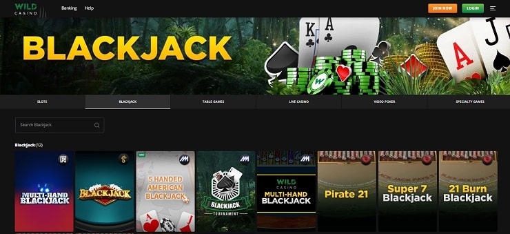 Wild Casino Blackjack