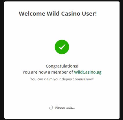 Wild Casino Account Created