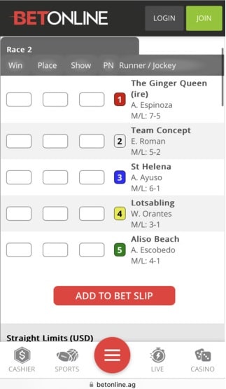 BetOnline racebook
