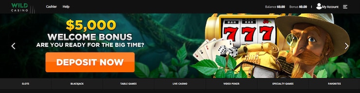Find Blackjack Games at Wild Casino