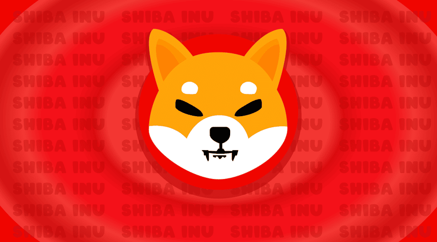 Is Shiba Inu a Good Investment? September 2024 Review