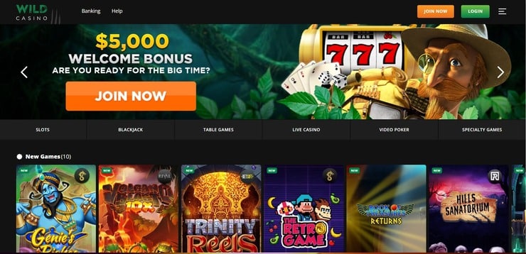 Wild Casino homepage for online gambling in Florida