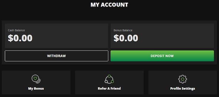 Wild Casino Deposit and Withdrawals