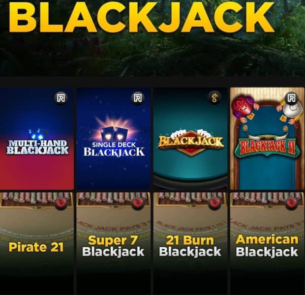 Wild Casino Online Blackjack Games
