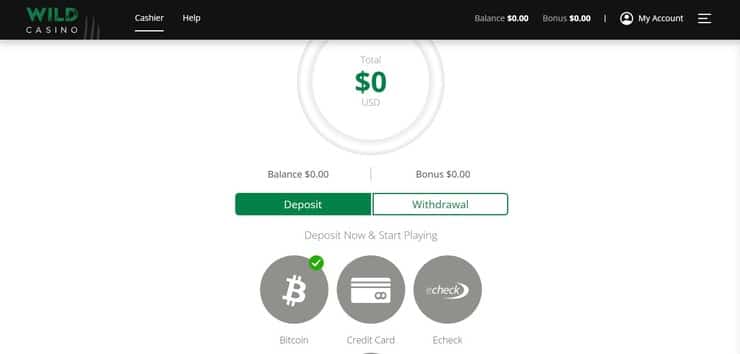 Wild Casino deposit section