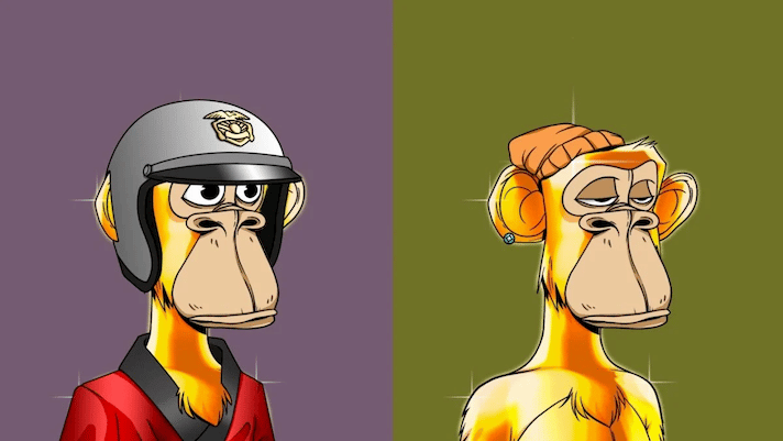 Bored Ape NFTs