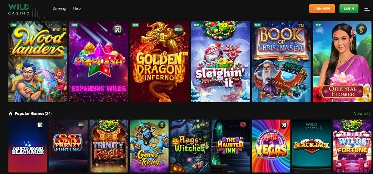 Wild Casino Games for Real Money