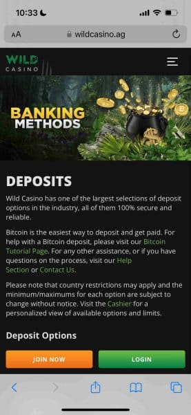 Banking options at Wild Casino