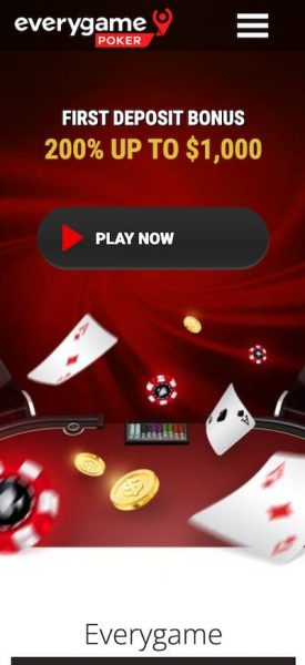 Everygame New York Casino App