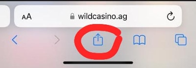Wild Casino App Step 2