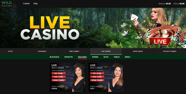 Wild Casino — The Best Online Baccarat Casino in the US