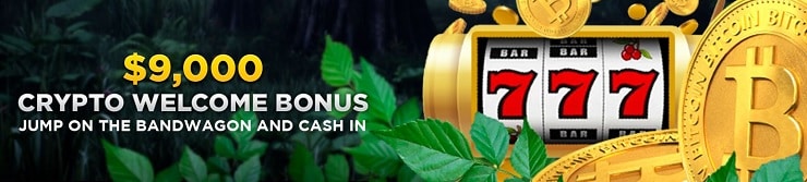 Wild-Casino-Crypto-Welcome-Bonus