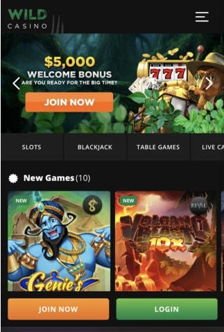 Wild casino mobile homepage