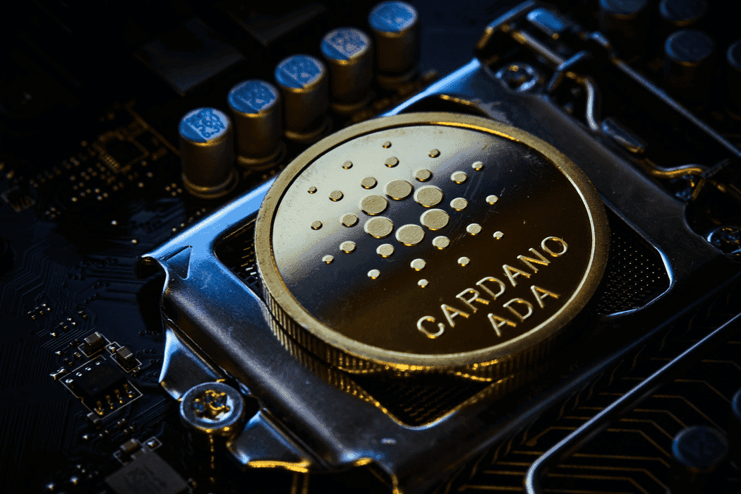 Cardano has much potential