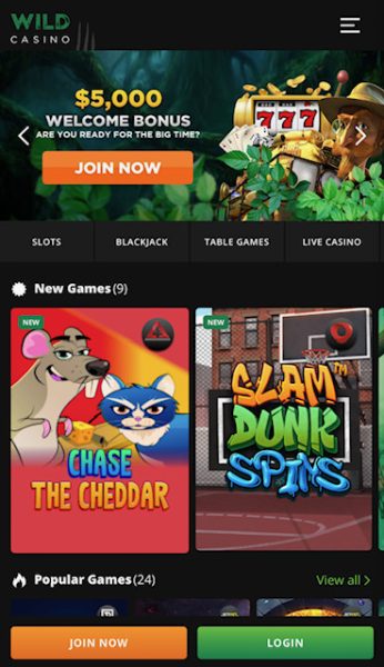 Wild Casino sign up page