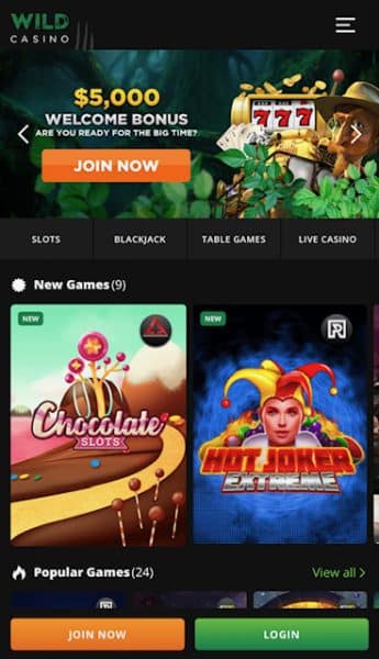 Wild Casino homepage - best IN casino apps 