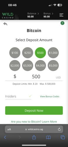 Deposit and bonus input
