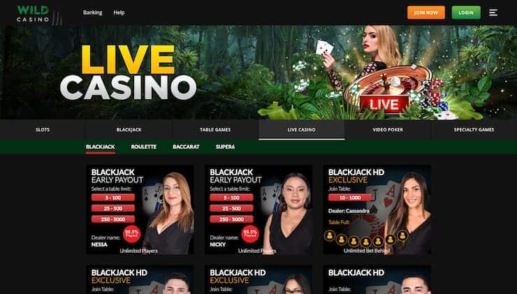 Wild Casino Louisiana Real Money Online Casino