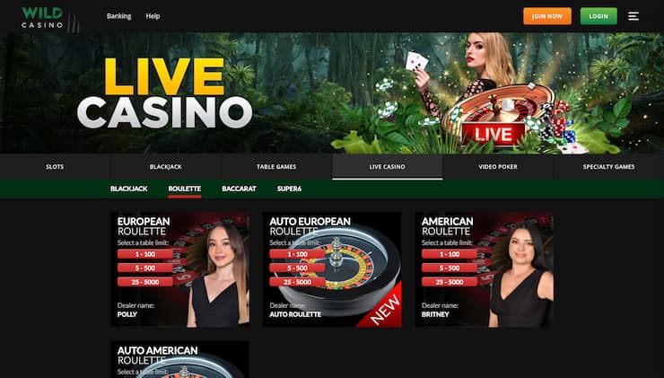 Wild Casino Virginia Online Casino