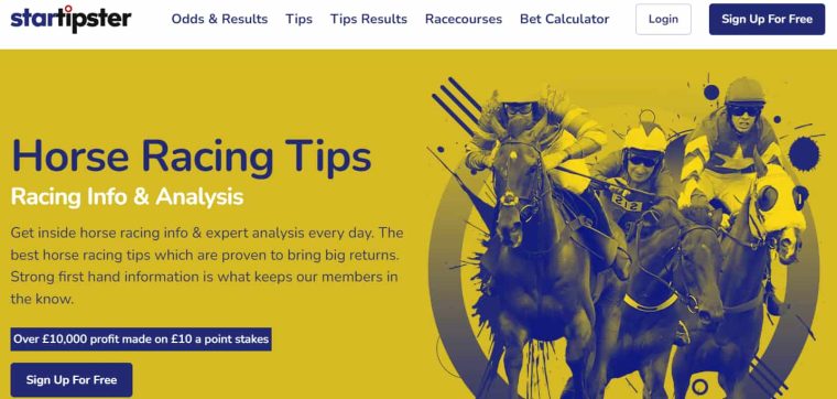horse racing tipster startipster