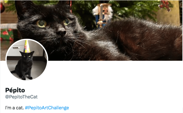 twitter could provide free access to api to some bot accounts