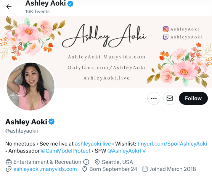 Ashley Aoki Twitter Header