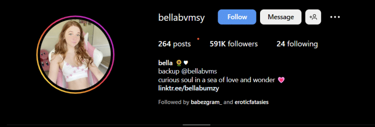 Bella Bumzy Instagram Header