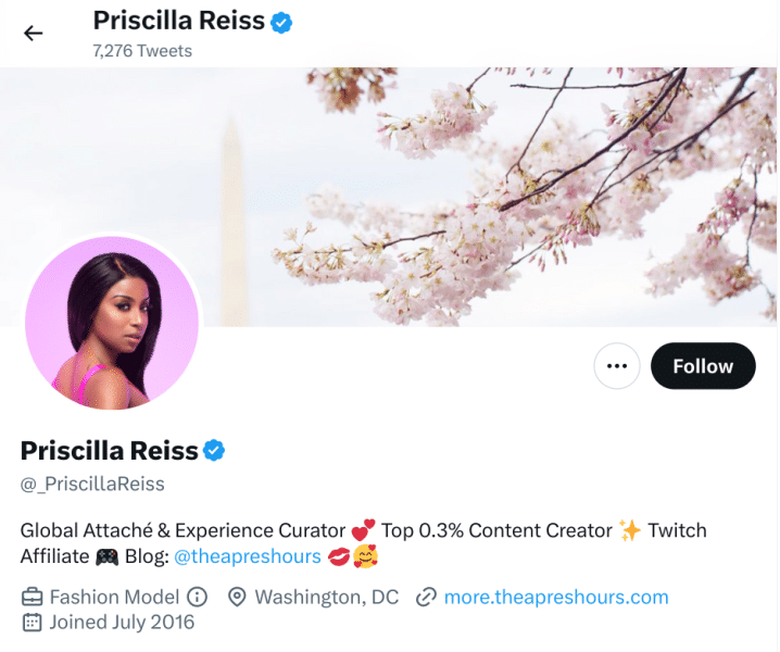 Priya Rainelle Twitter Header